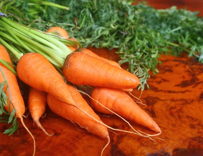 Carrots fresh from the garden